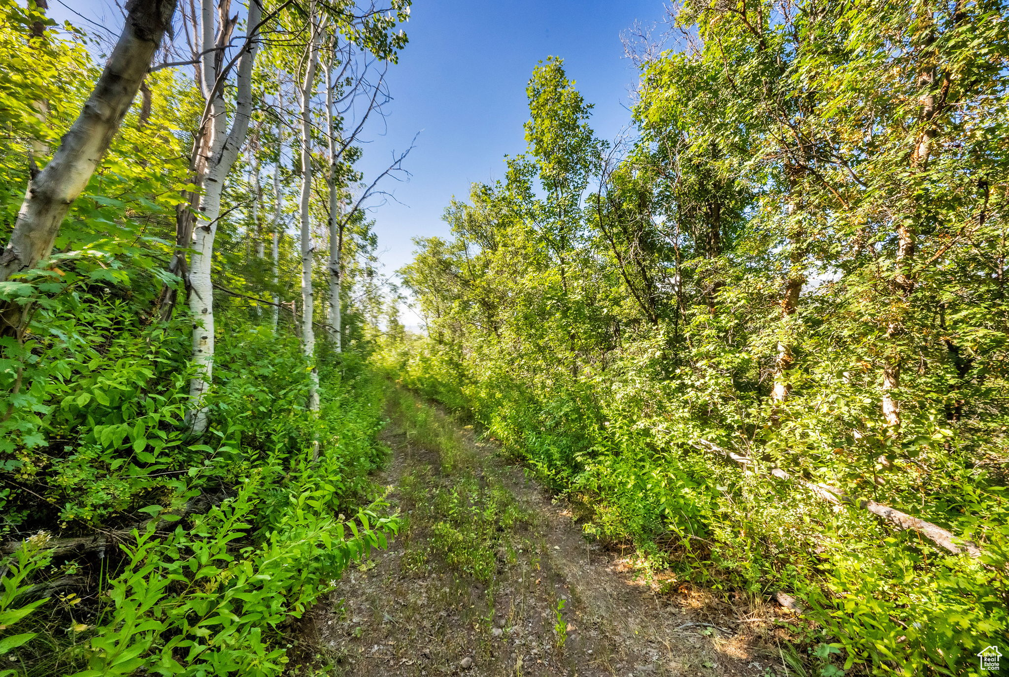 WOODLAND ESTATES PLAT A - Land