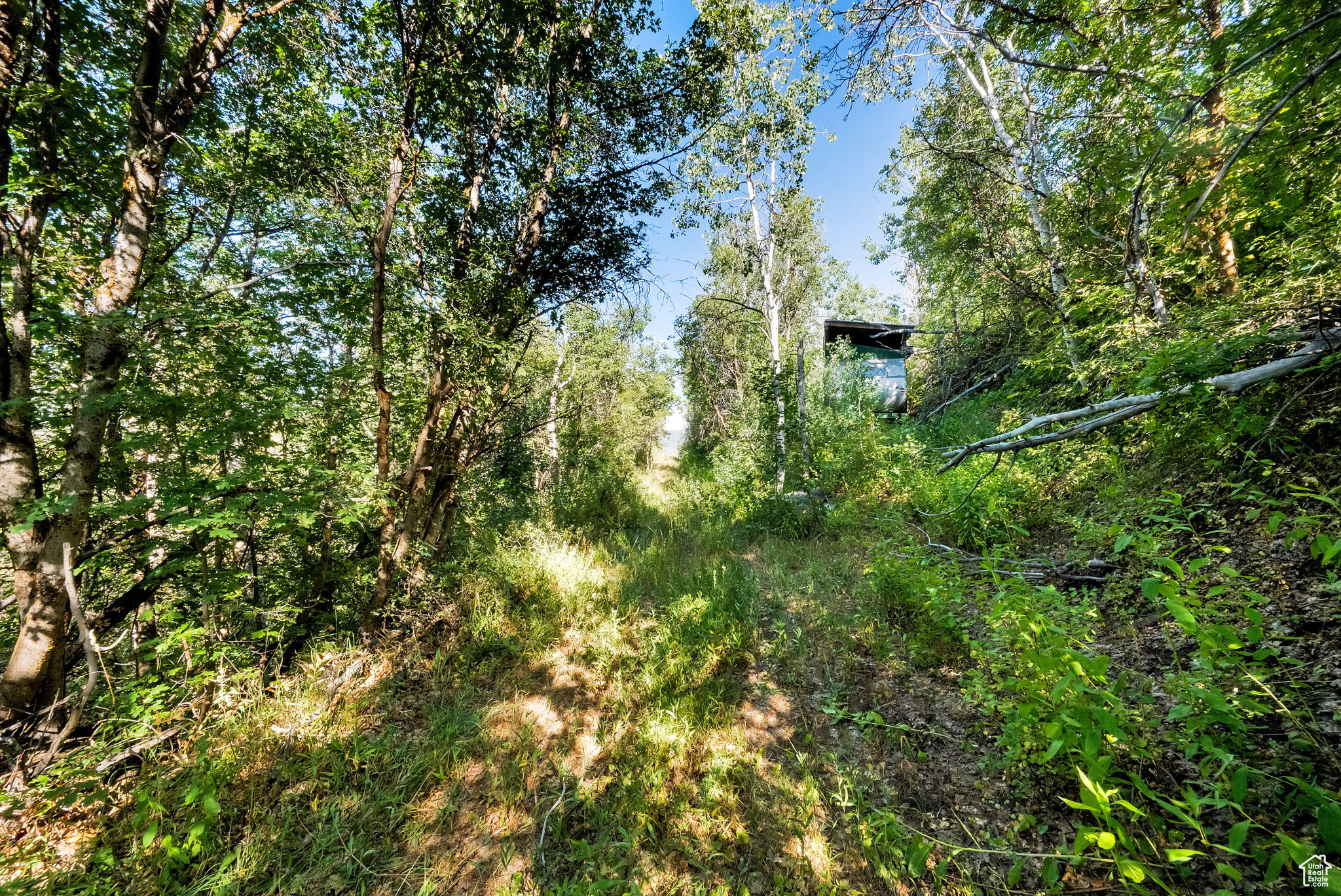 WOODLAND ESTATES PLAT A - Land