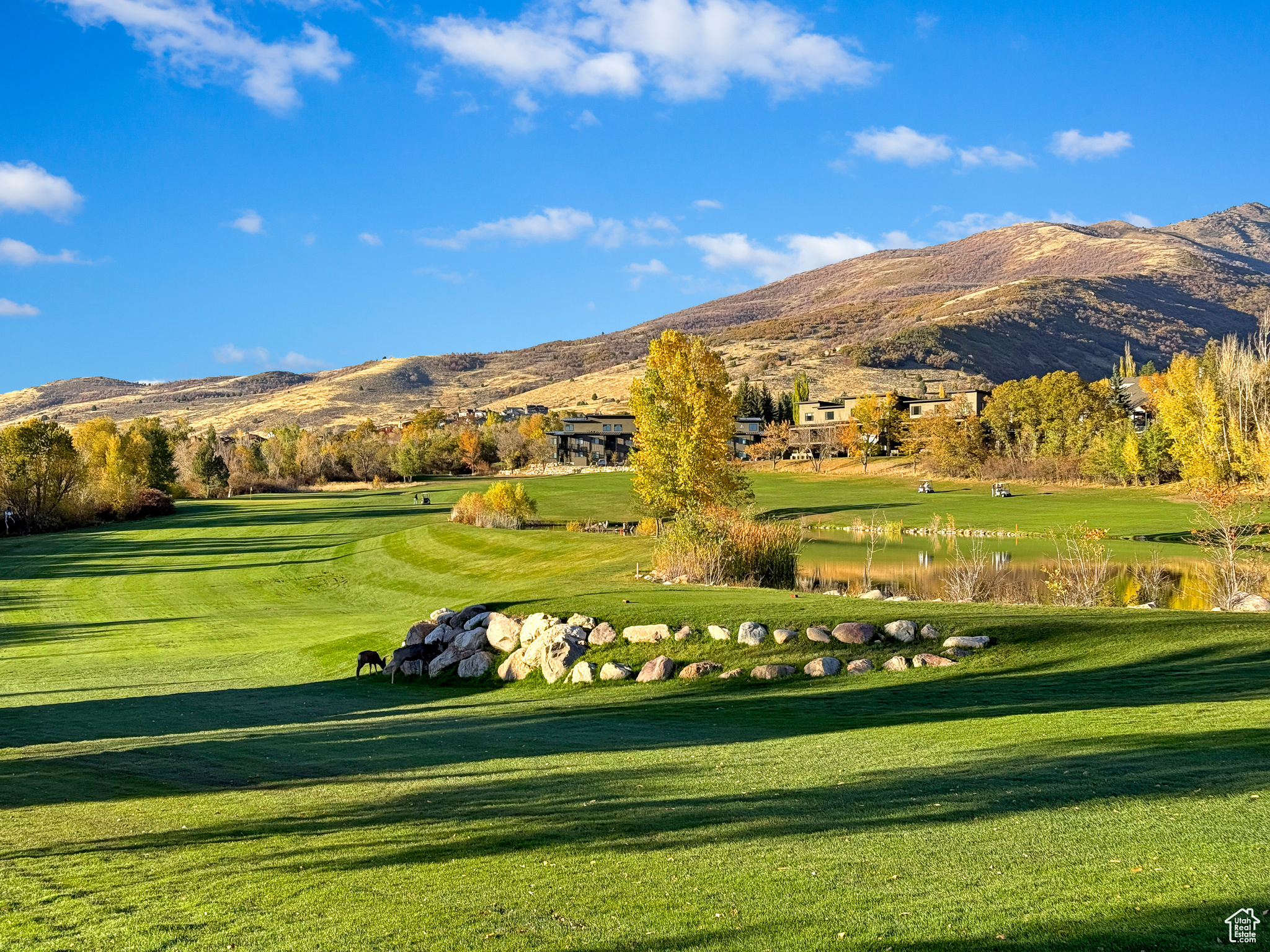 3615 N Wolf Dr #608, Eden, Utah image 36