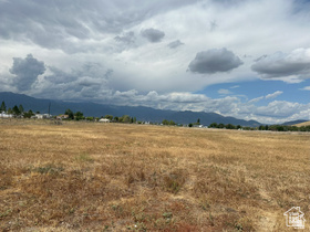 BENSON FARM PRESERVATION - Land