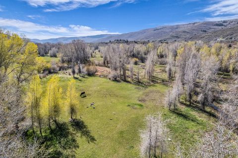 Tiny photo for Woodland, UT 84036 (MLS # 2155341)