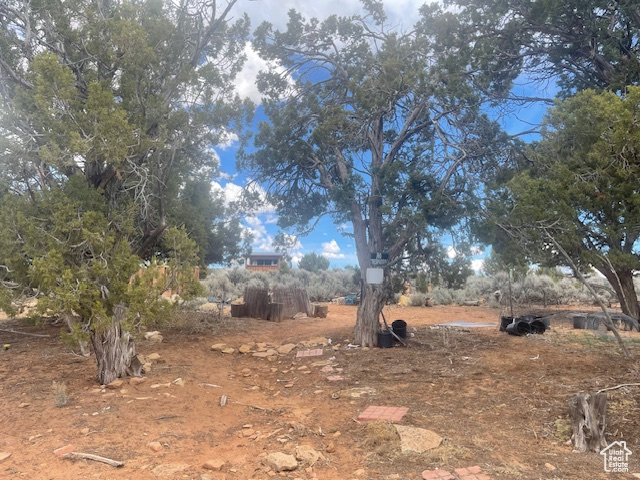 Monticello, Utah 84535, United States, ,Land,Active,140724