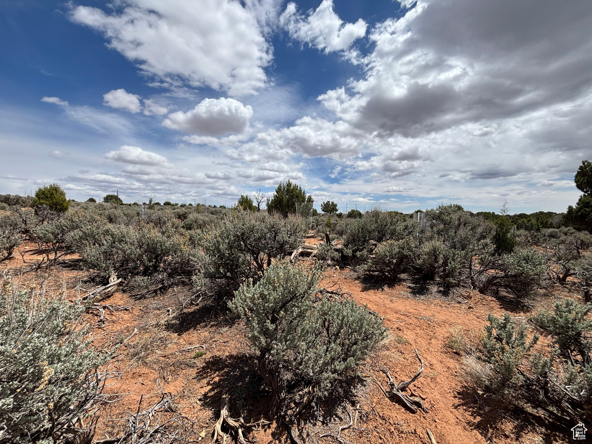 Monticello, Utah 84535, United States, ,Land,Active,140724