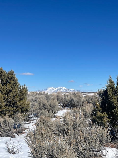 Monticello, Utah 84535, United States, ,Land,Active,140724