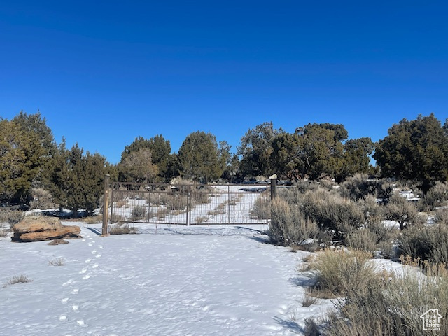 Monticello, Utah 84535, United States, ,Land,Active,140724