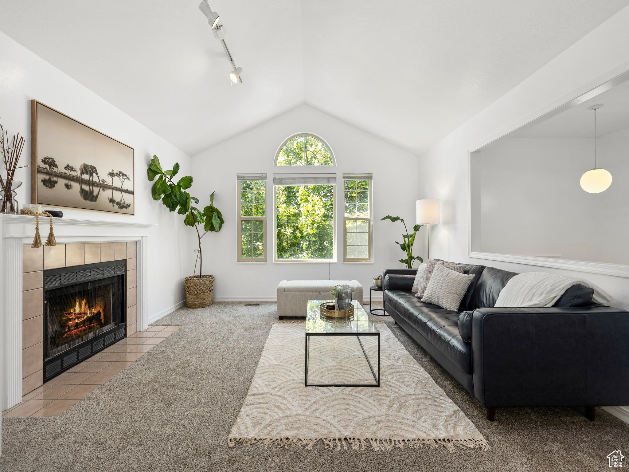BLACKHAWK ESTATES - Residential
