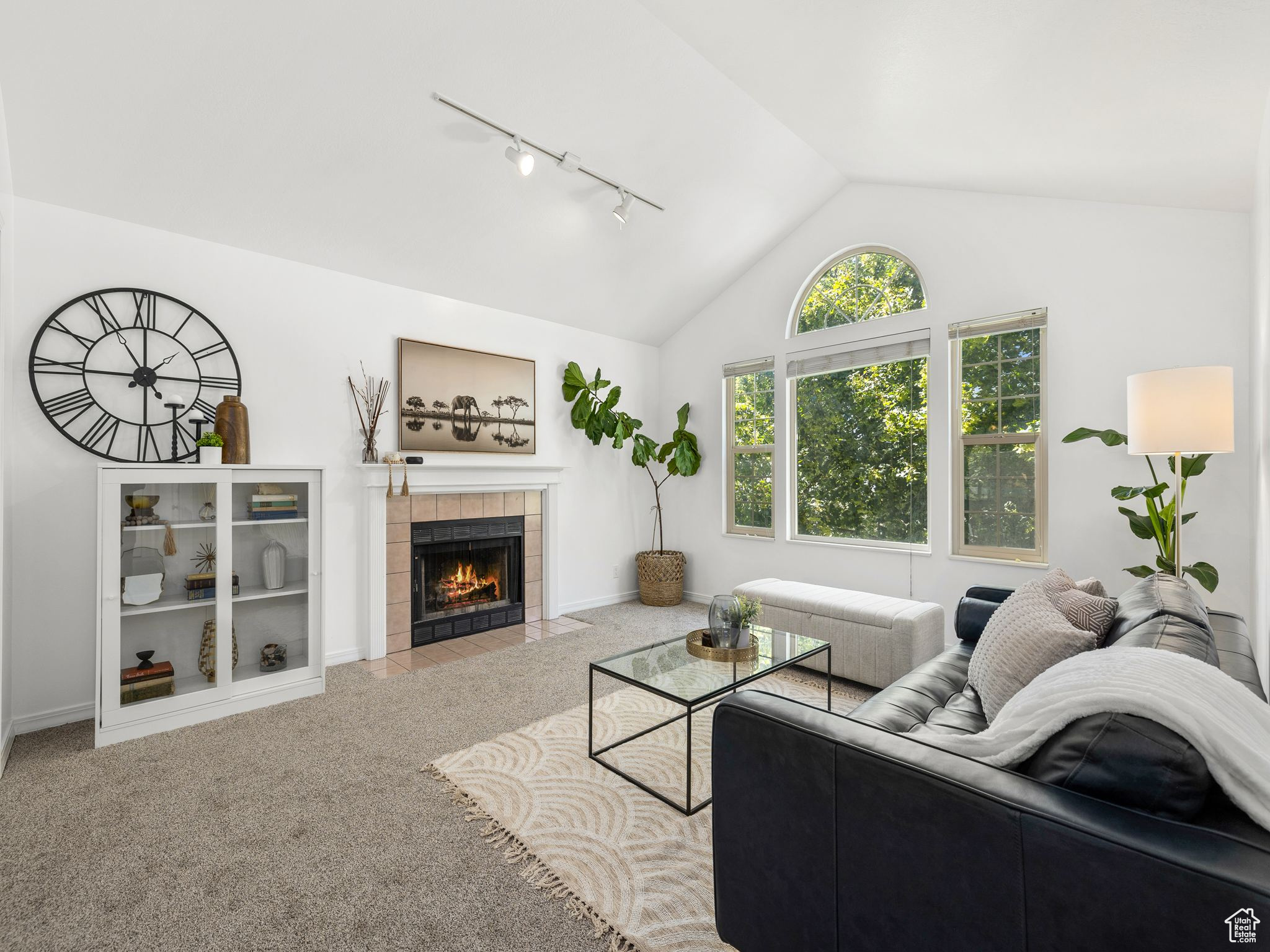BLACKHAWK ESTATES - Residential