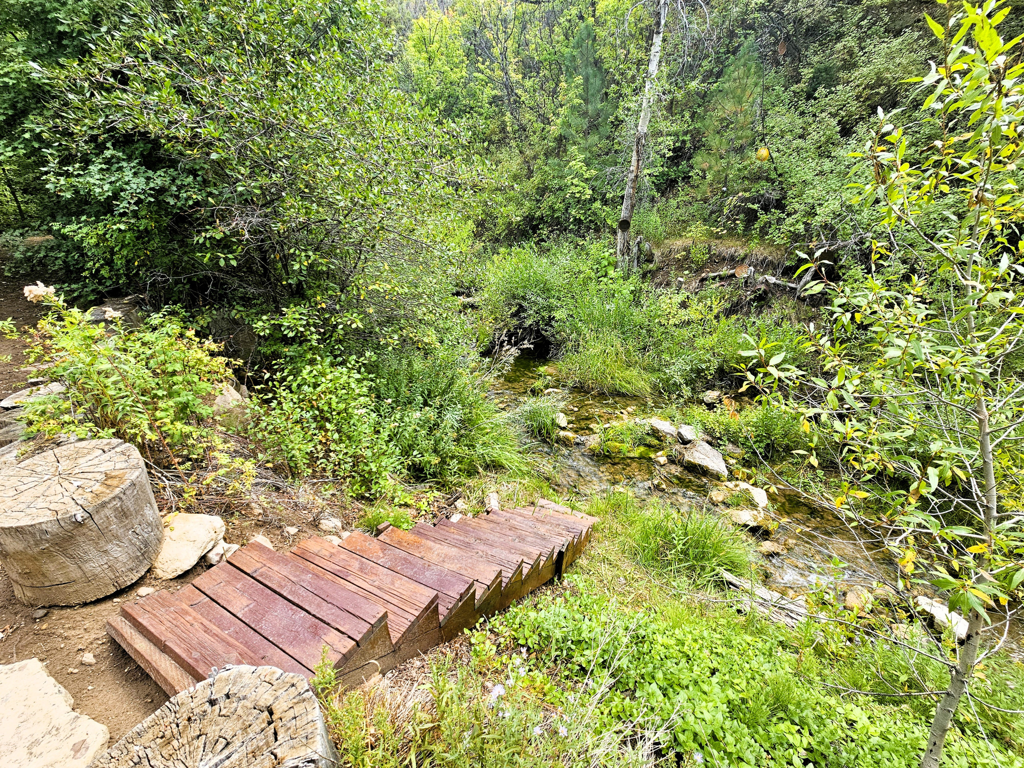 SKYLINE MOUNTAIN RESORT - Residential