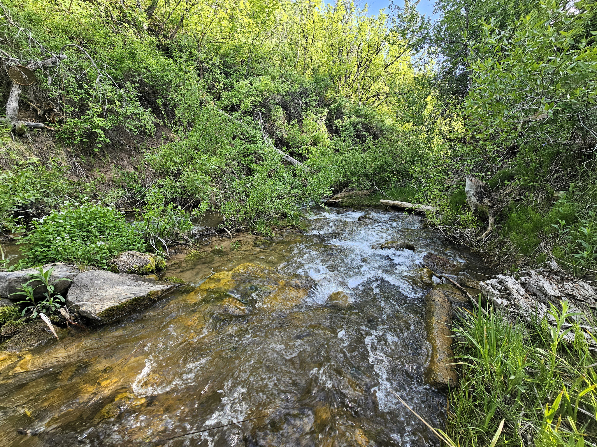 SKYLINE MOUNTAIN RESORT - Residential