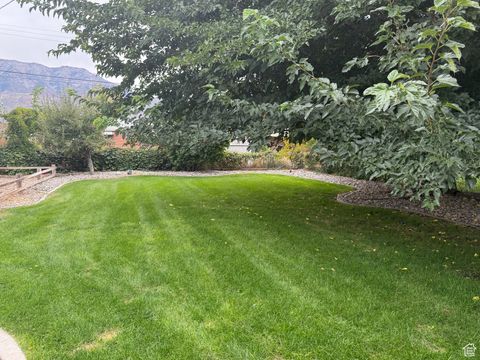 Tiny photo for 925 S 150 E, Orem, UT 84058 (MLS # 2117323)