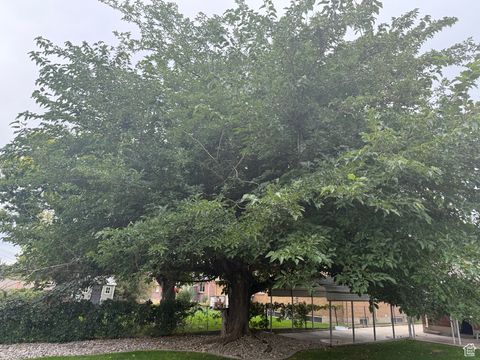Tiny photo for 925 S 150 E, Orem, UT 84058 (MLS # 2117323)