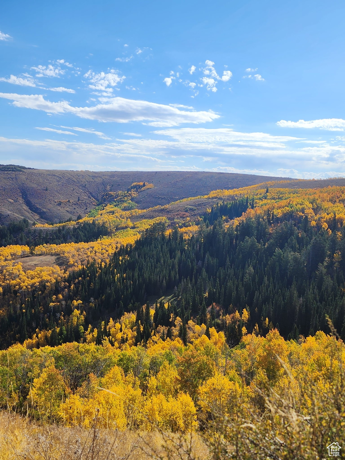 Land, Woodruff, Utah image 3