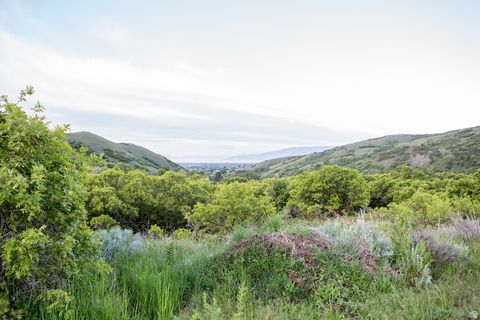 Tiny photo for 15 E THREE FALLS RDG #53, Alpine, UT 84004 (MLS # 2138876)
