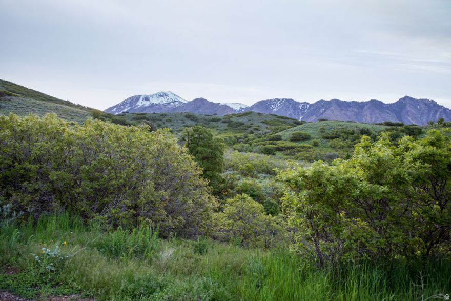 Exceptional Cul-de-Sac Lot in Prestigious Three Falls  Build your dream home on this rare west-facing cul-de-sac lot in the highly sought-after Three Falls subdivision. Perfectly positioned to capture breathtaking mountain views and stunning sunsets, this property offers both privacy and natural beauty.  Surrounded by over 200 acres of protected open space, this lot provides a truly unmatched setting - with no rear neighbors and unobstructed scenery in every direction.  Bring your own builder, or take advantage of ours and make the process seamless from start to finish. Custom architectural plans have already been thoughtfully designed for this homesite and are available with the purchase, offering a head start on creating something truly special. Buyers are allowed to create their own custom plans and are not required to use the included ones.  Opportunities like this don't come around often.