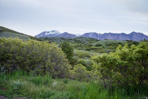 Photo of 15 E THREE FALLS RDG #53, Alpine, UT 84004 (MLS # 2138876)