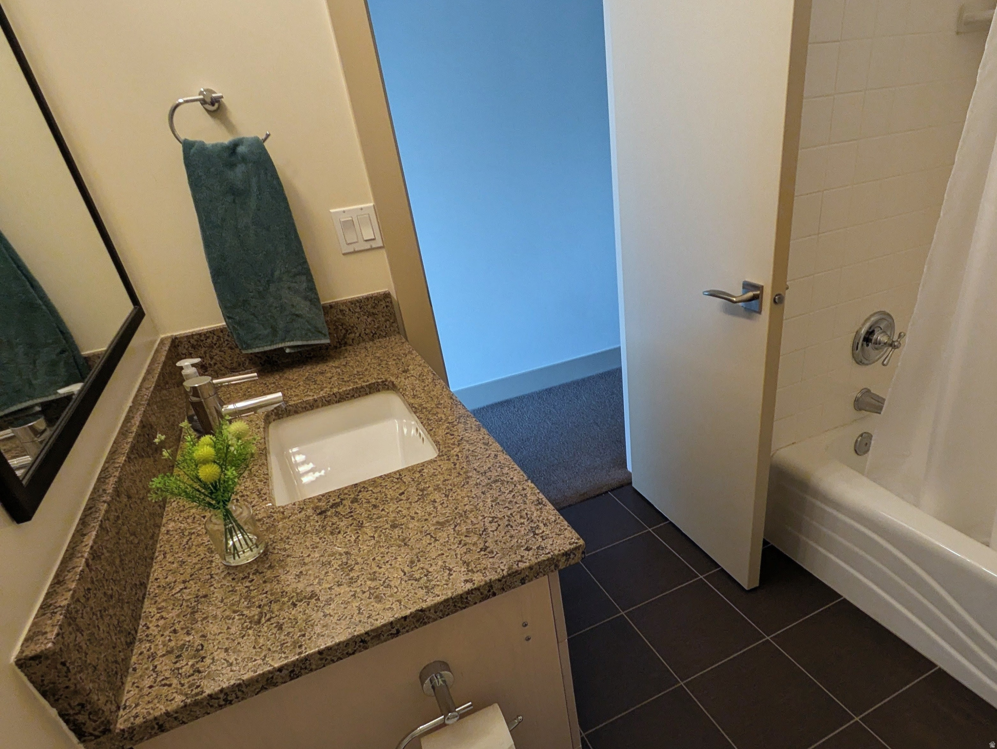 MT OLYMPUS - Residential