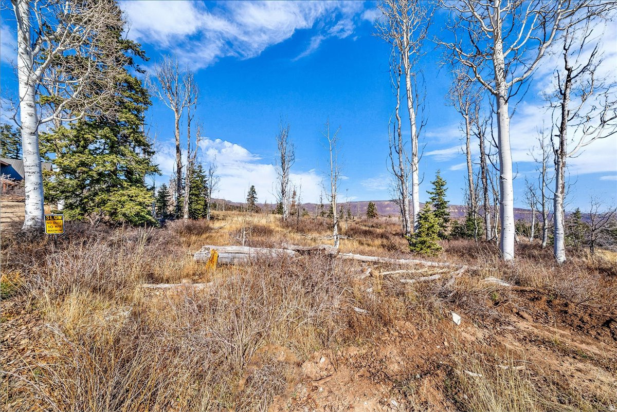 WHISPERING PINES - Land