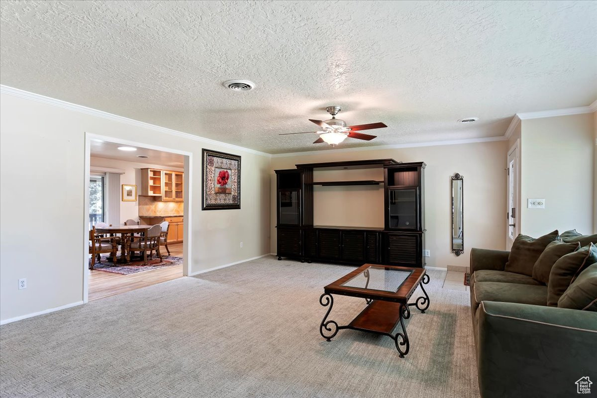 SOUTH HEIGHTS - Residential