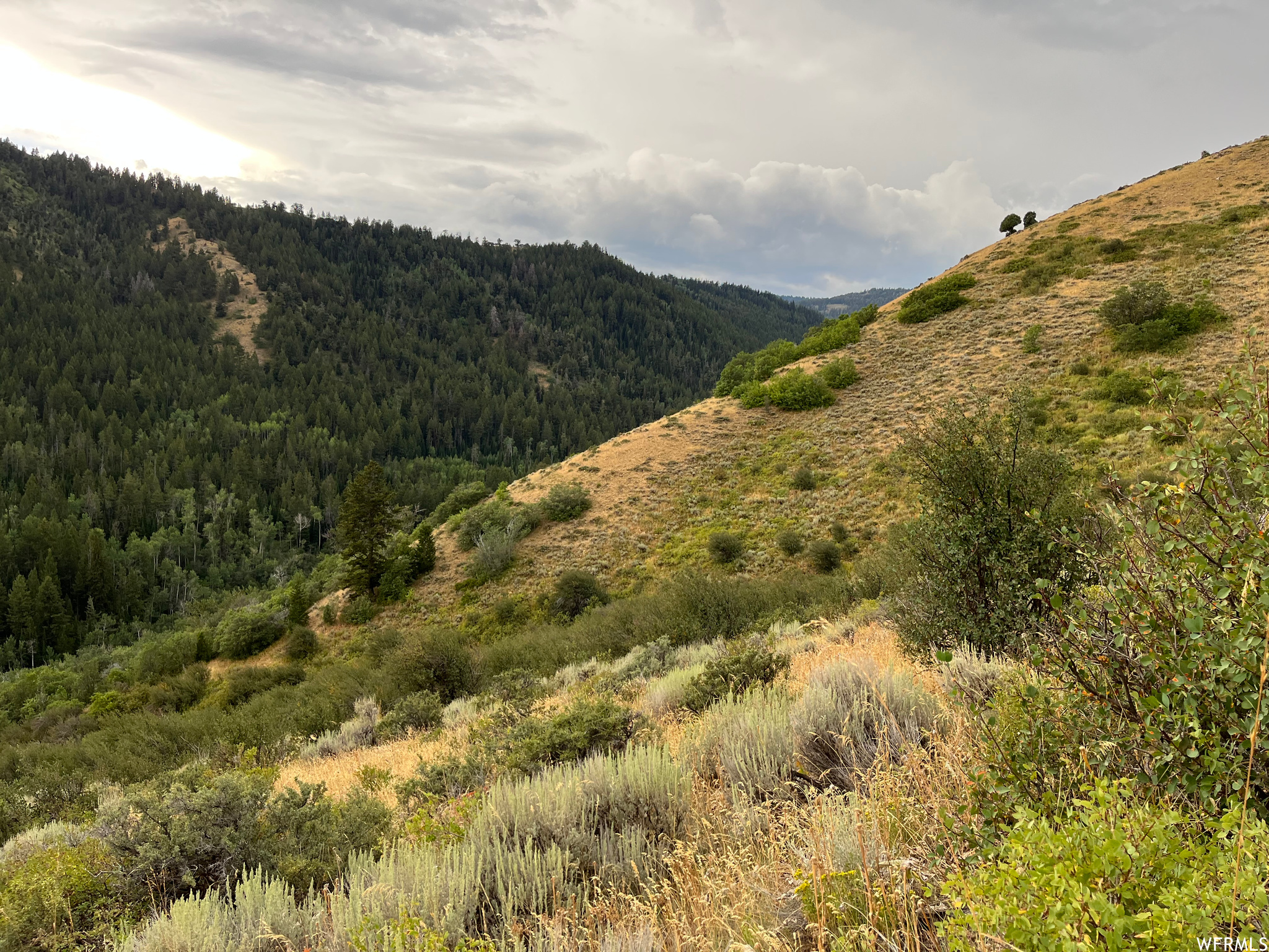 252 Skinner Canyon Rd, Montpelier, Idaho image 8