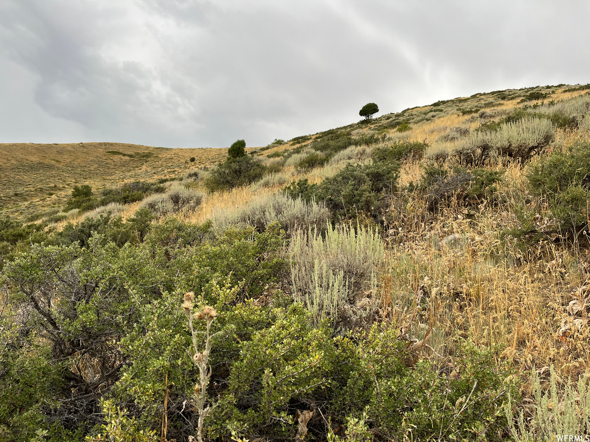 252 Skinner Canyon Rd, Montpelier, Idaho image 9