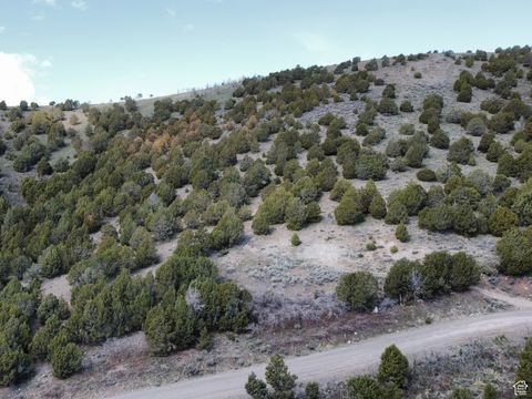 Photo of 15102 S SHAGGY MOUNTAIN RD W, Herriman, UT 84096 (MLS # 2104076)