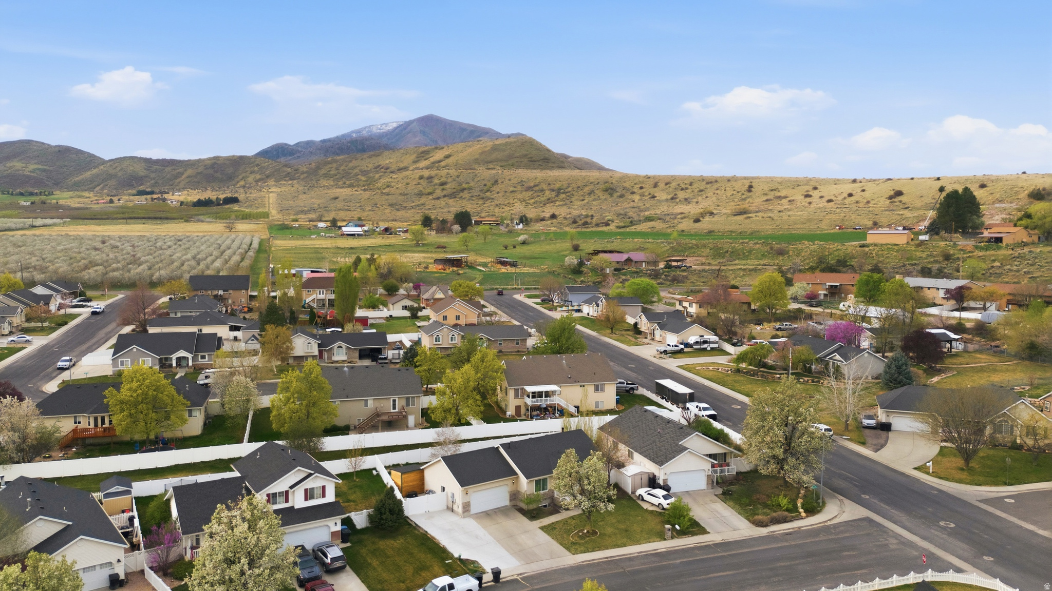 MOUNTAIN VIEW - Residential