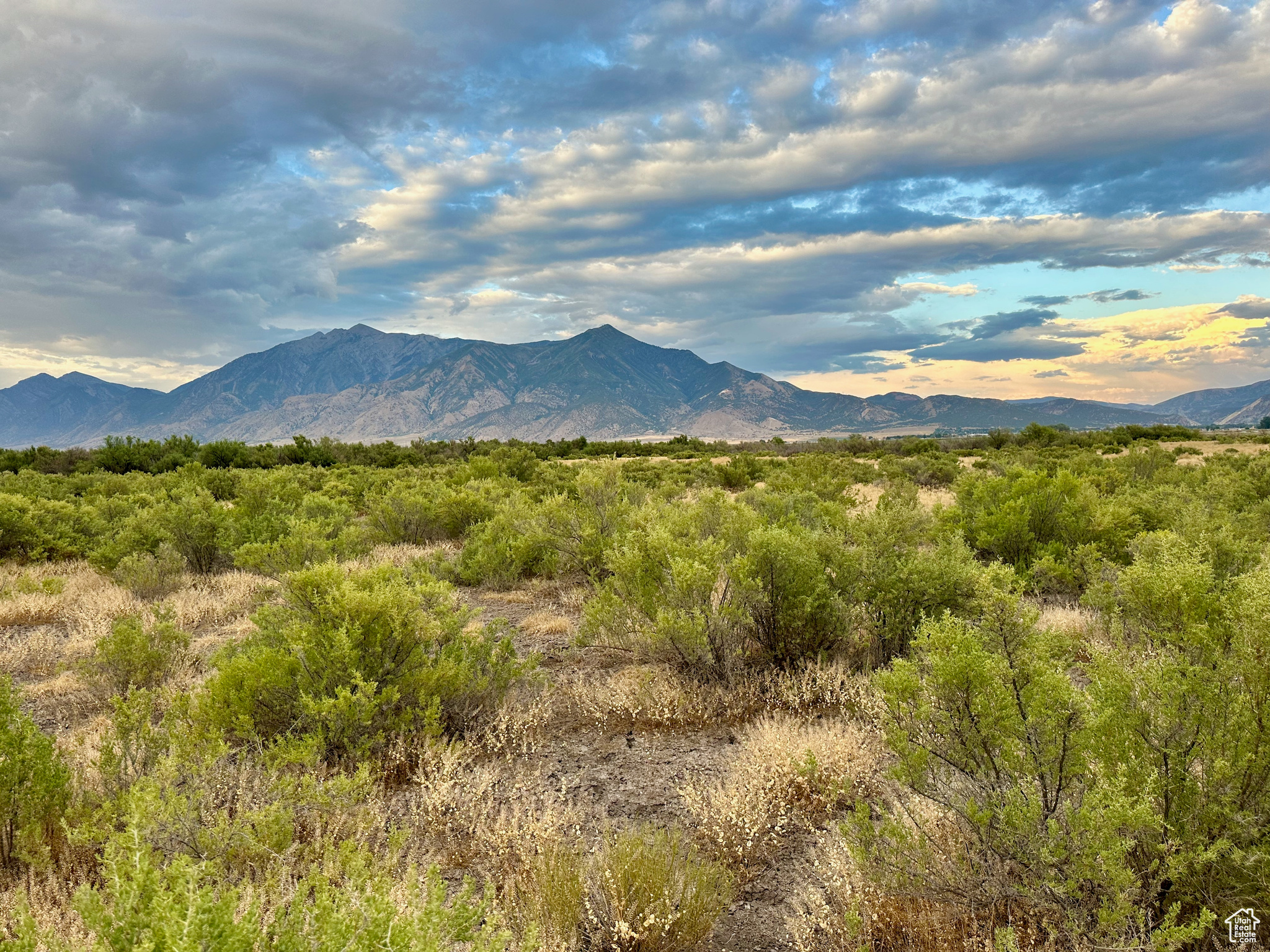 3659 W Turkey Ln, Nephi, Utah image 31