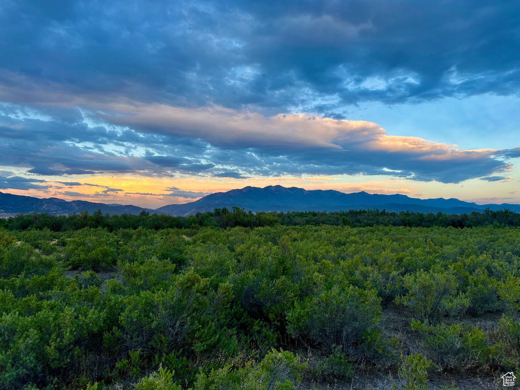 3659 W Turkey Ln, Nephi, Utah image 1