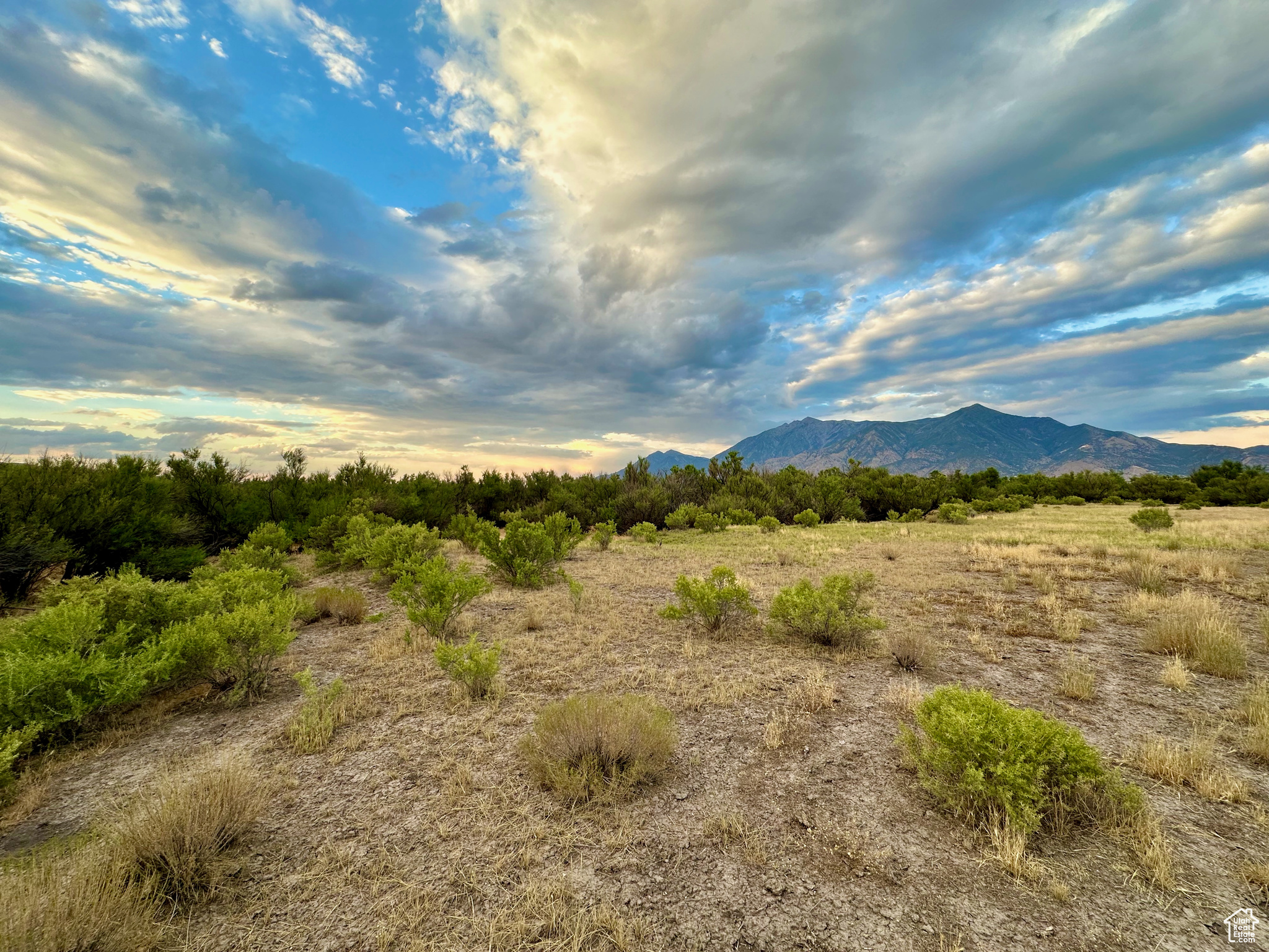 3659 W Turkey Ln, Nephi, Utah image 34