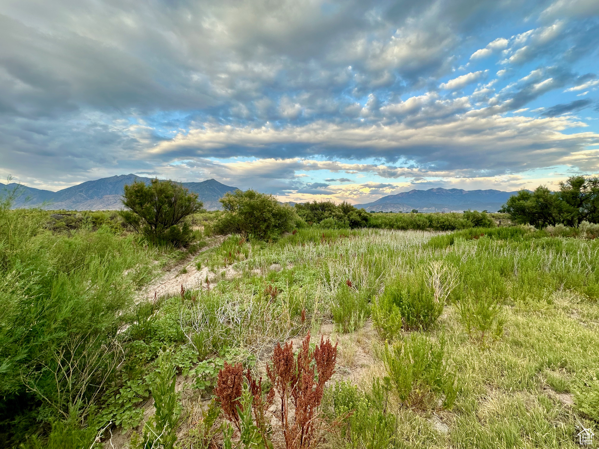 3659 W Turkey Ln, Nephi, Utah image 10