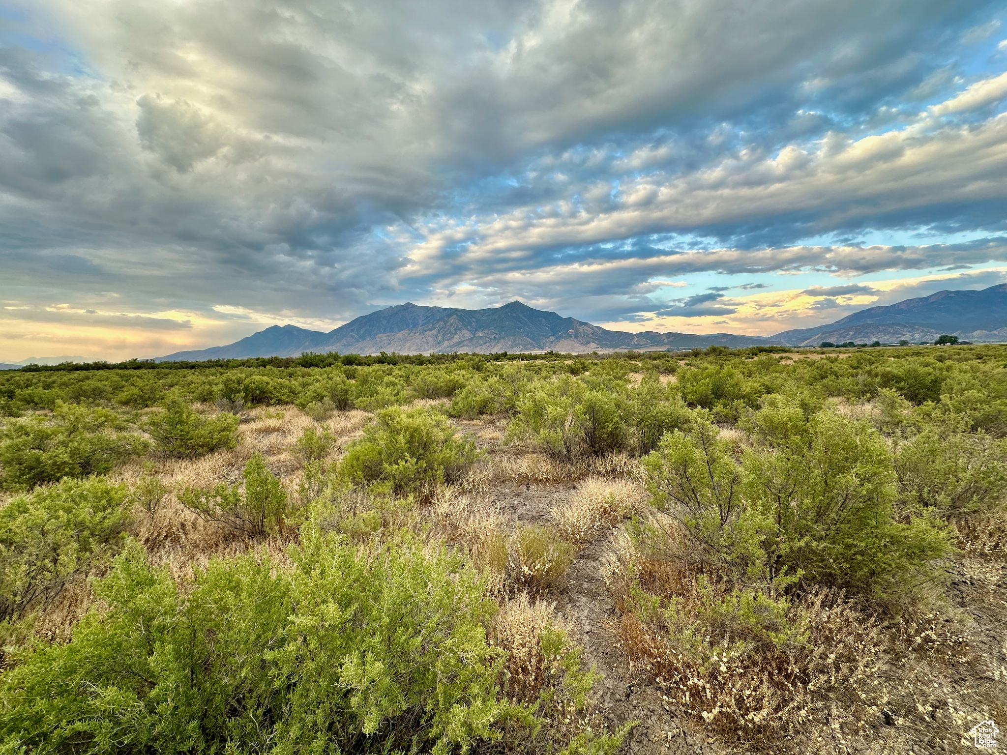 3659 W Turkey Ln, Nephi, Utah image 32