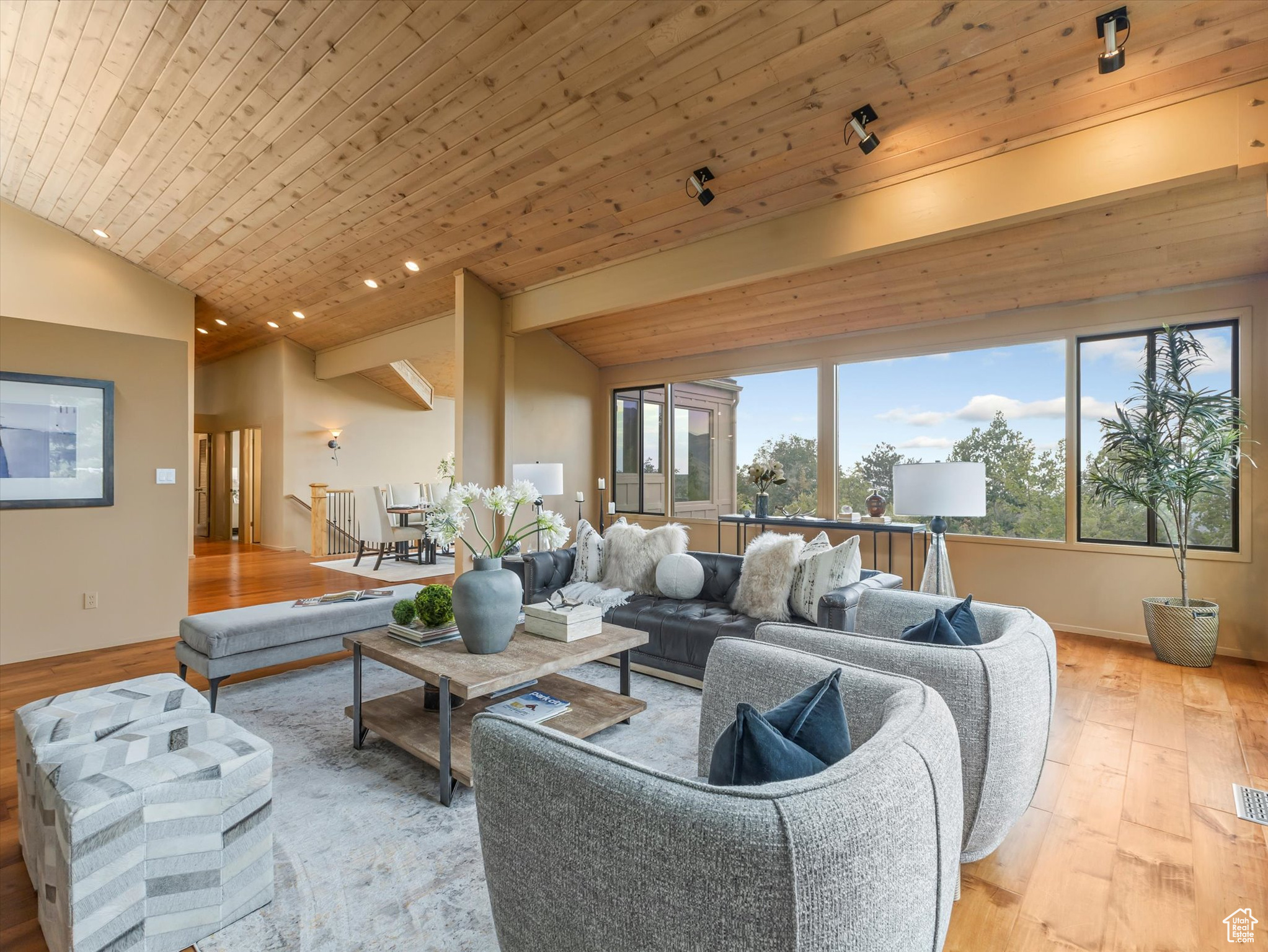 MT OLYMPUS COVE #12 - Residential