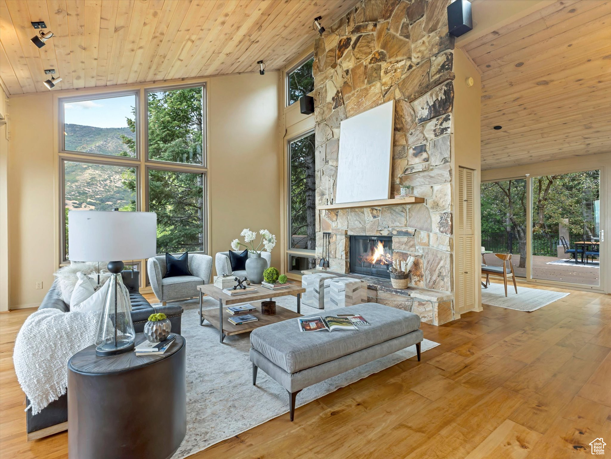 MT OLYMPUS COVE #12 - Residential