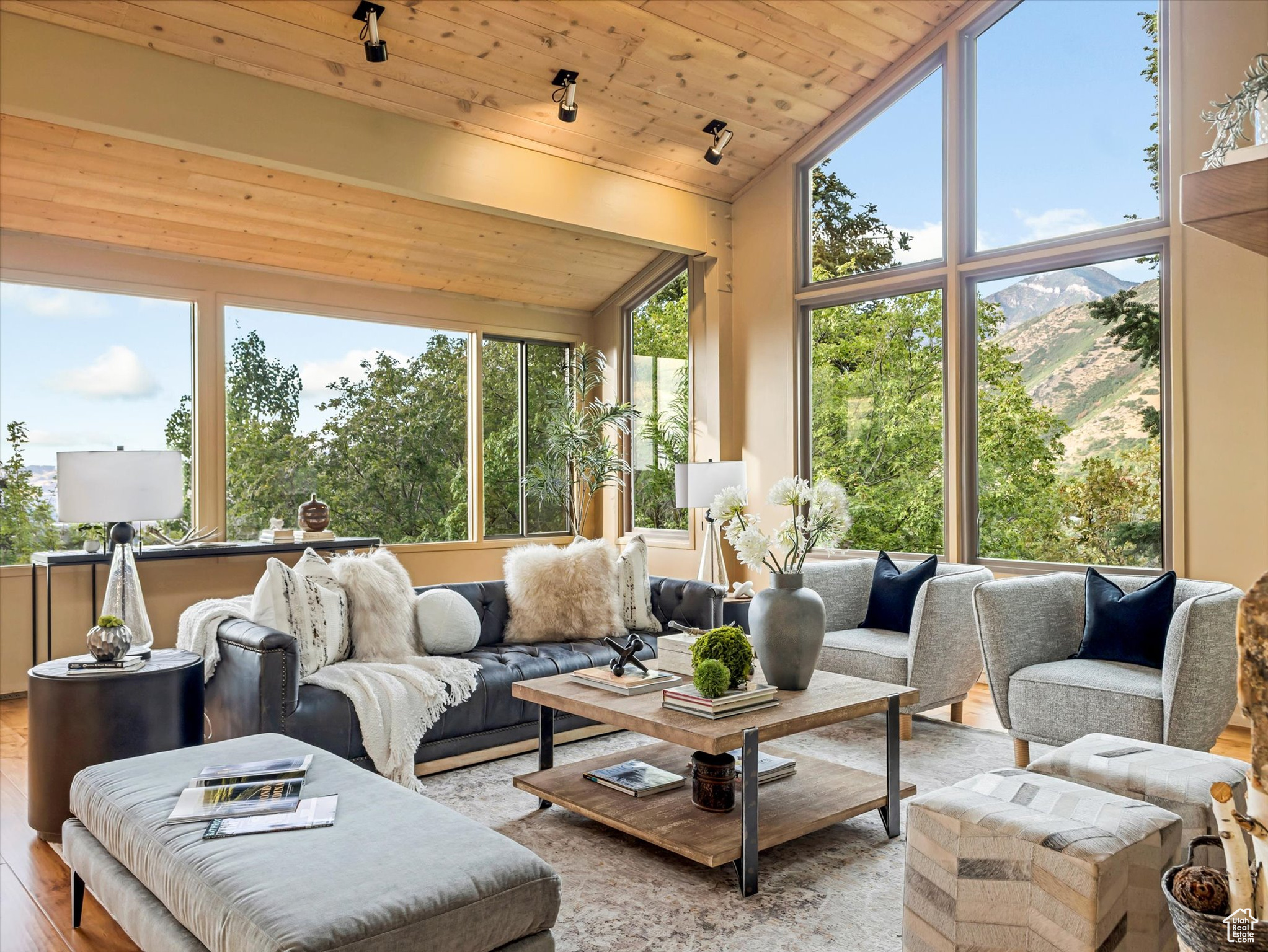 MT OLYMPUS COVE #12 - Residential