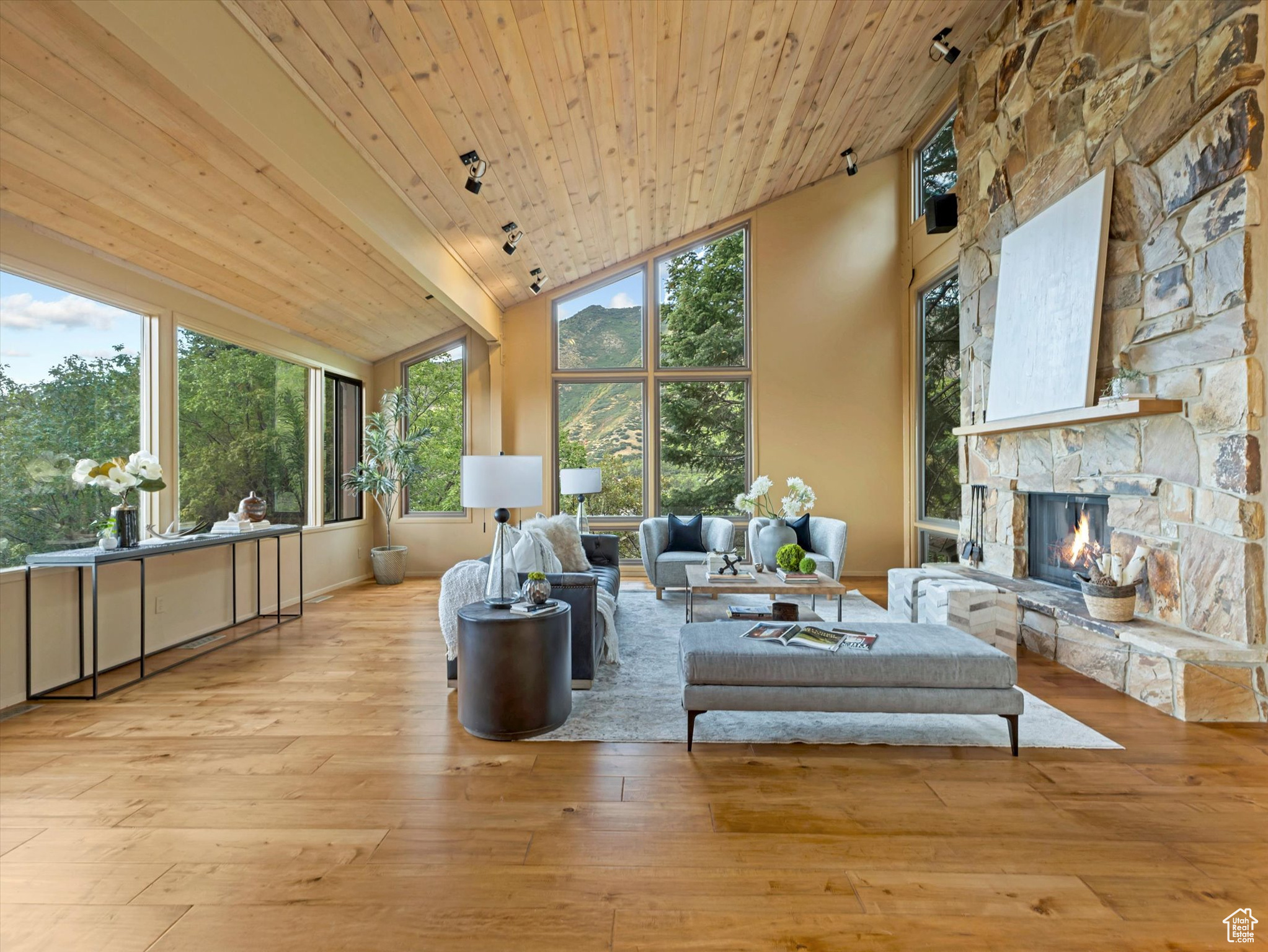 MT OLYMPUS COVE #12 - Residential