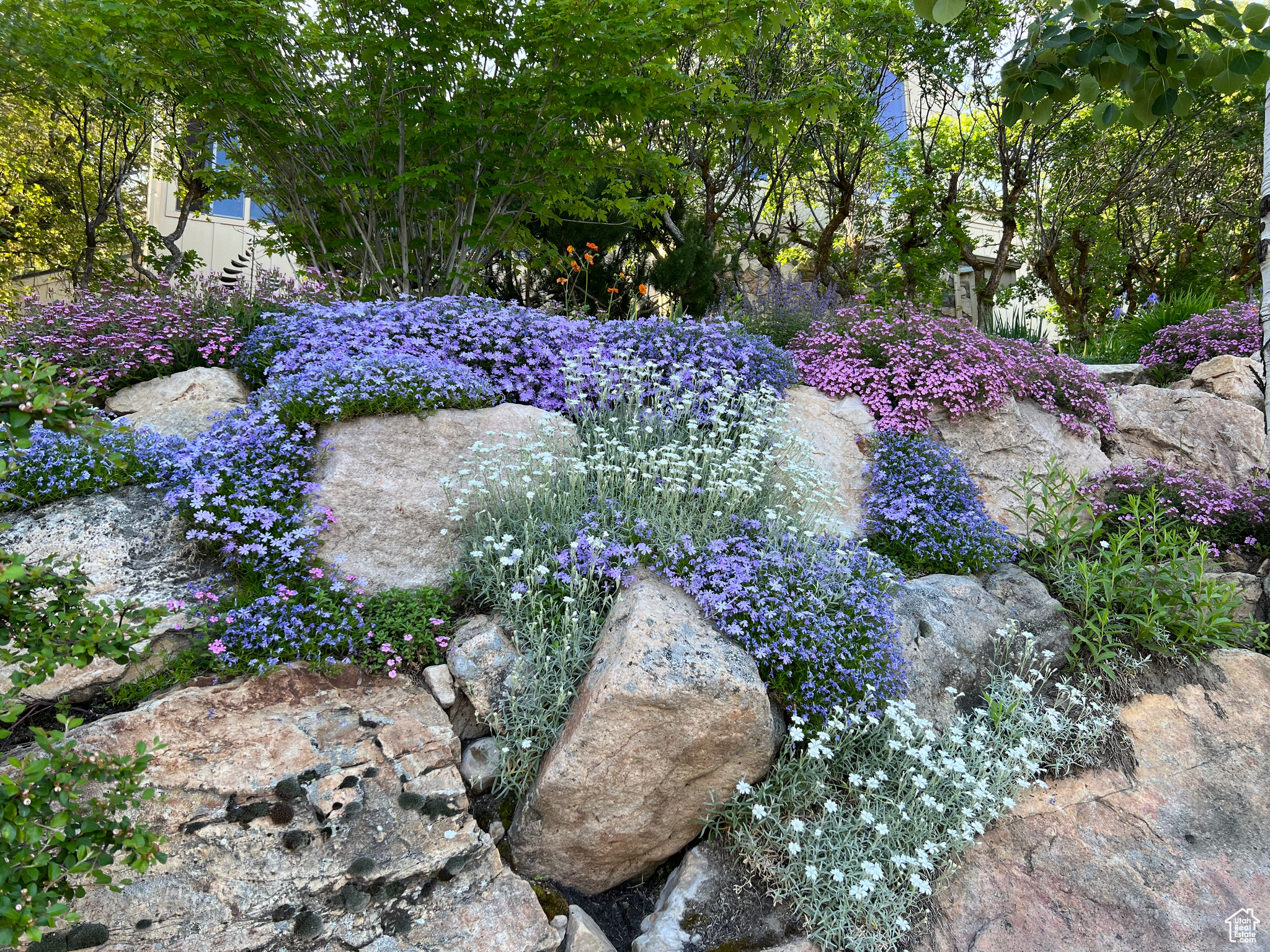 MT OLYMPUS COVE #12 - Residential