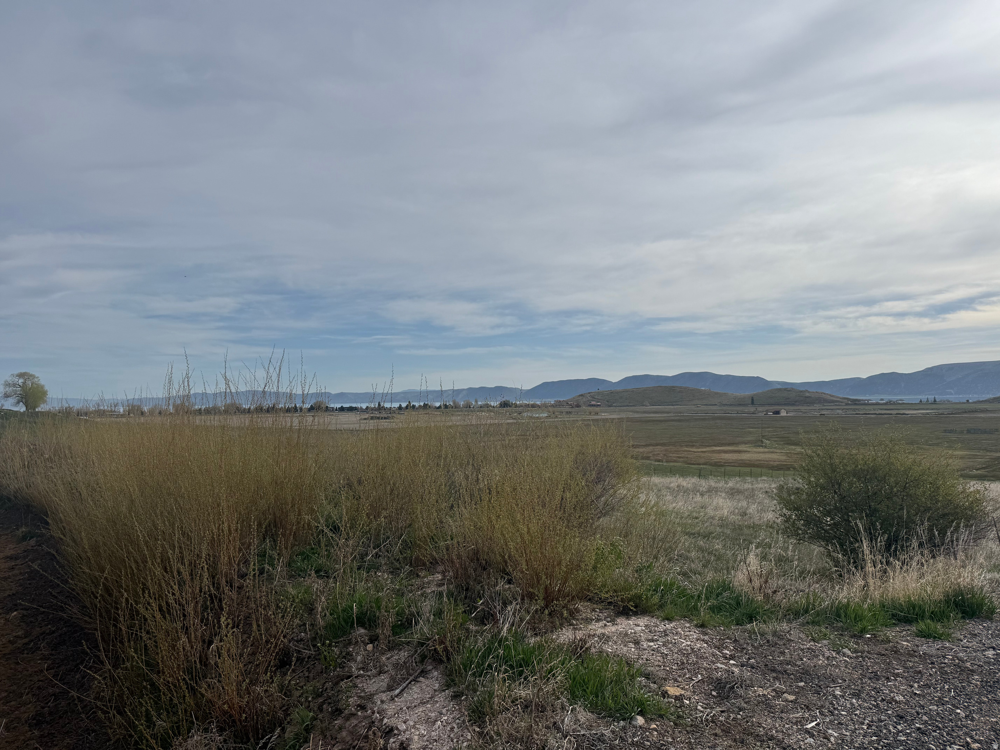 GOLF COURSE SUB 4 - Land