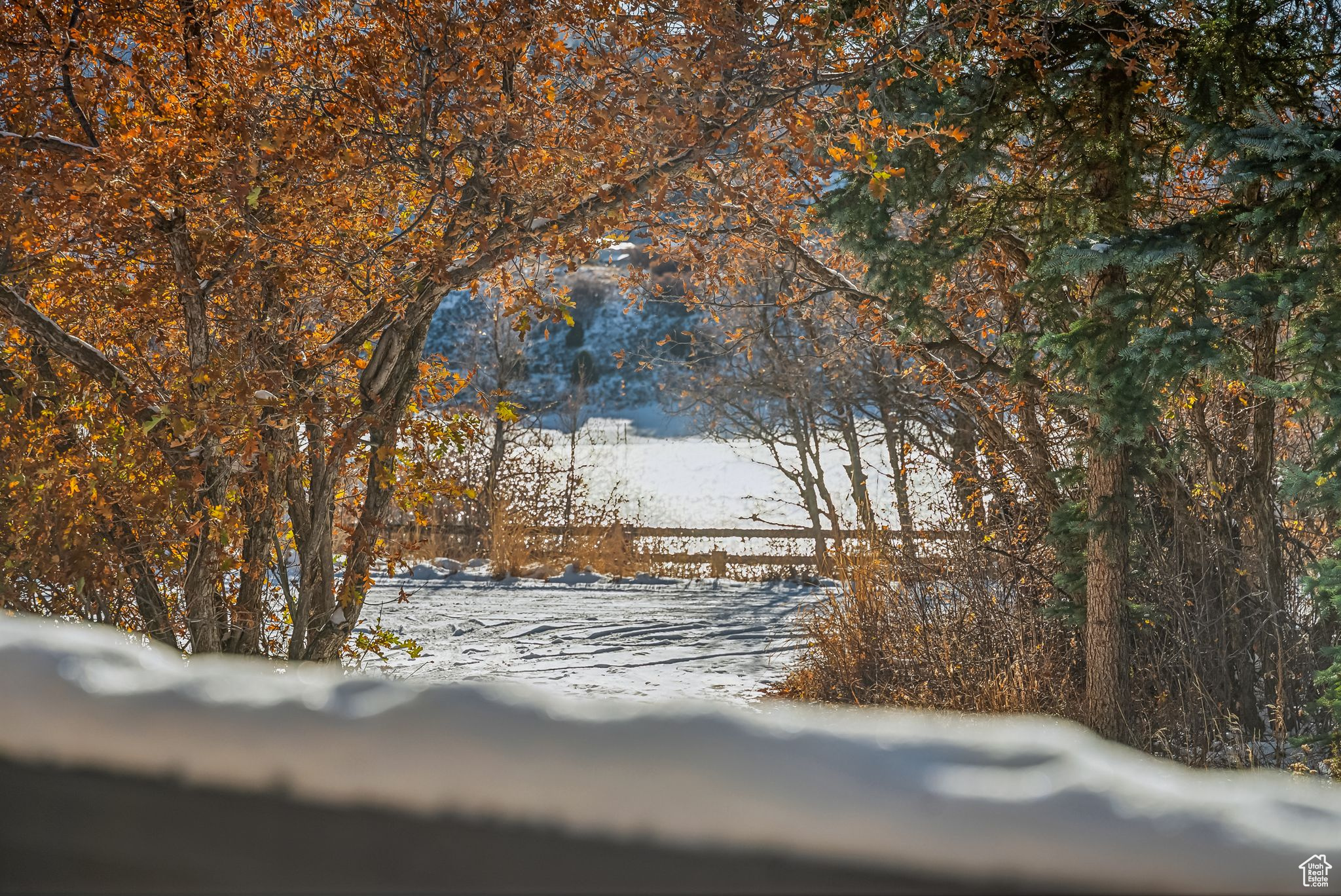 9919 E Ridge Pine Dr. Dr, Heber City, Utah image 42