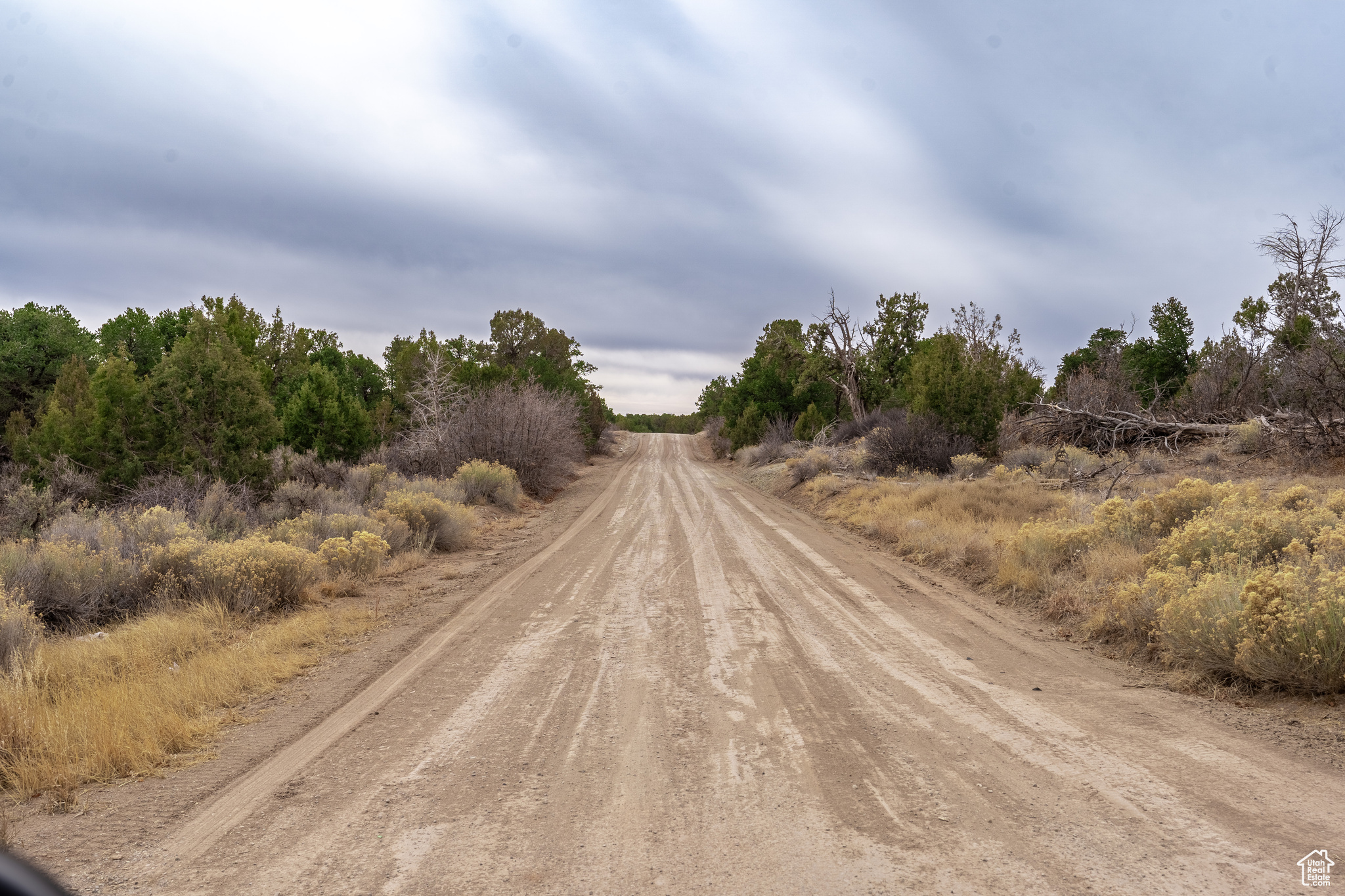 Land, Monticello, Utah image 11