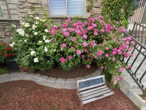 Tiny photo for 743 S 560 W, Lehi, UT 84043 (MLS # 2176531)