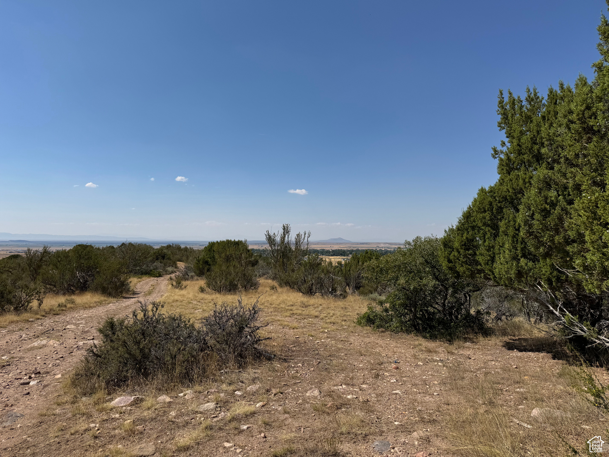 SE1/4 SEC 28, T21S, R4W - Land