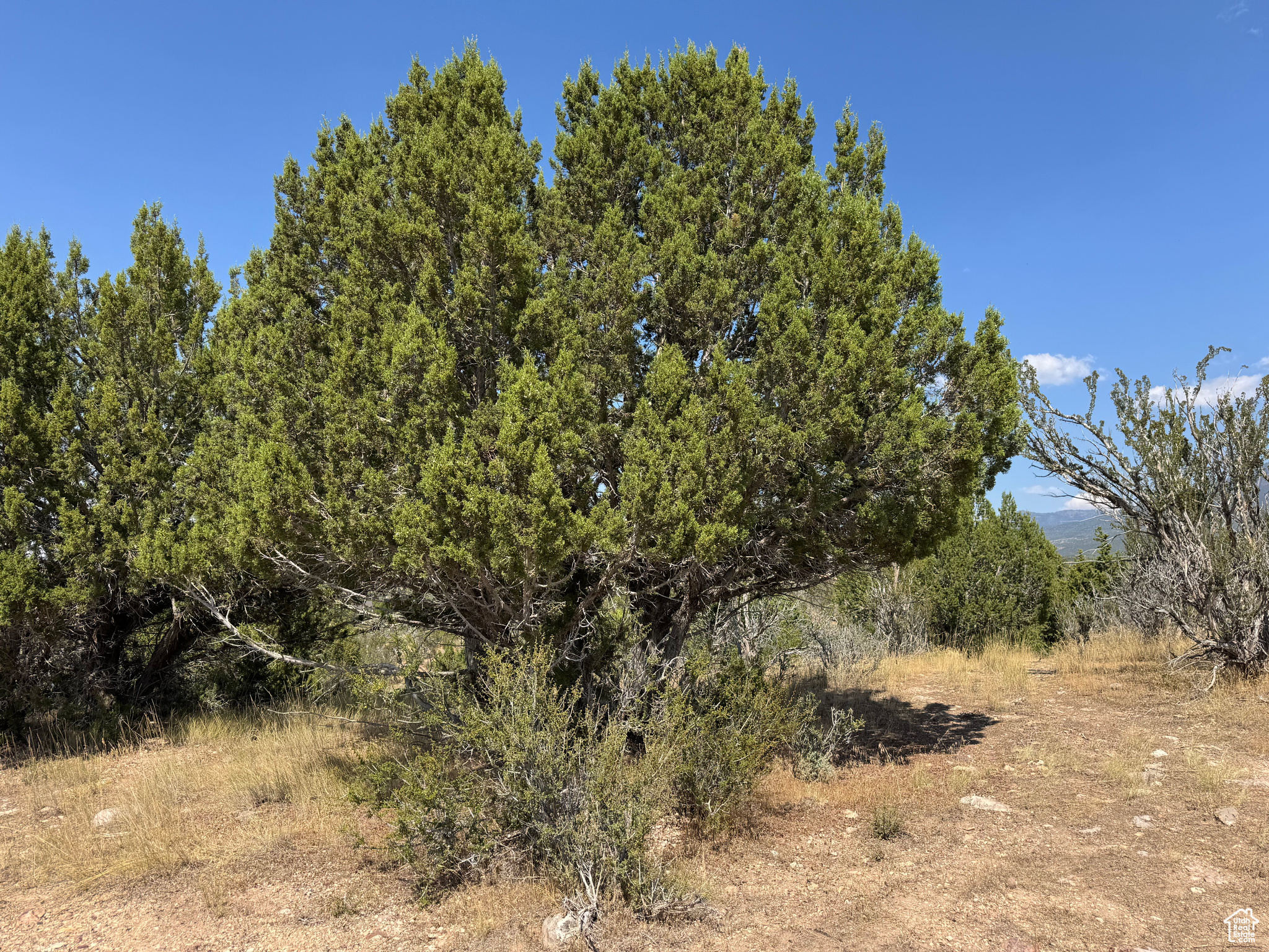 SE1/4 SEC 28, T21S, R4W - Land