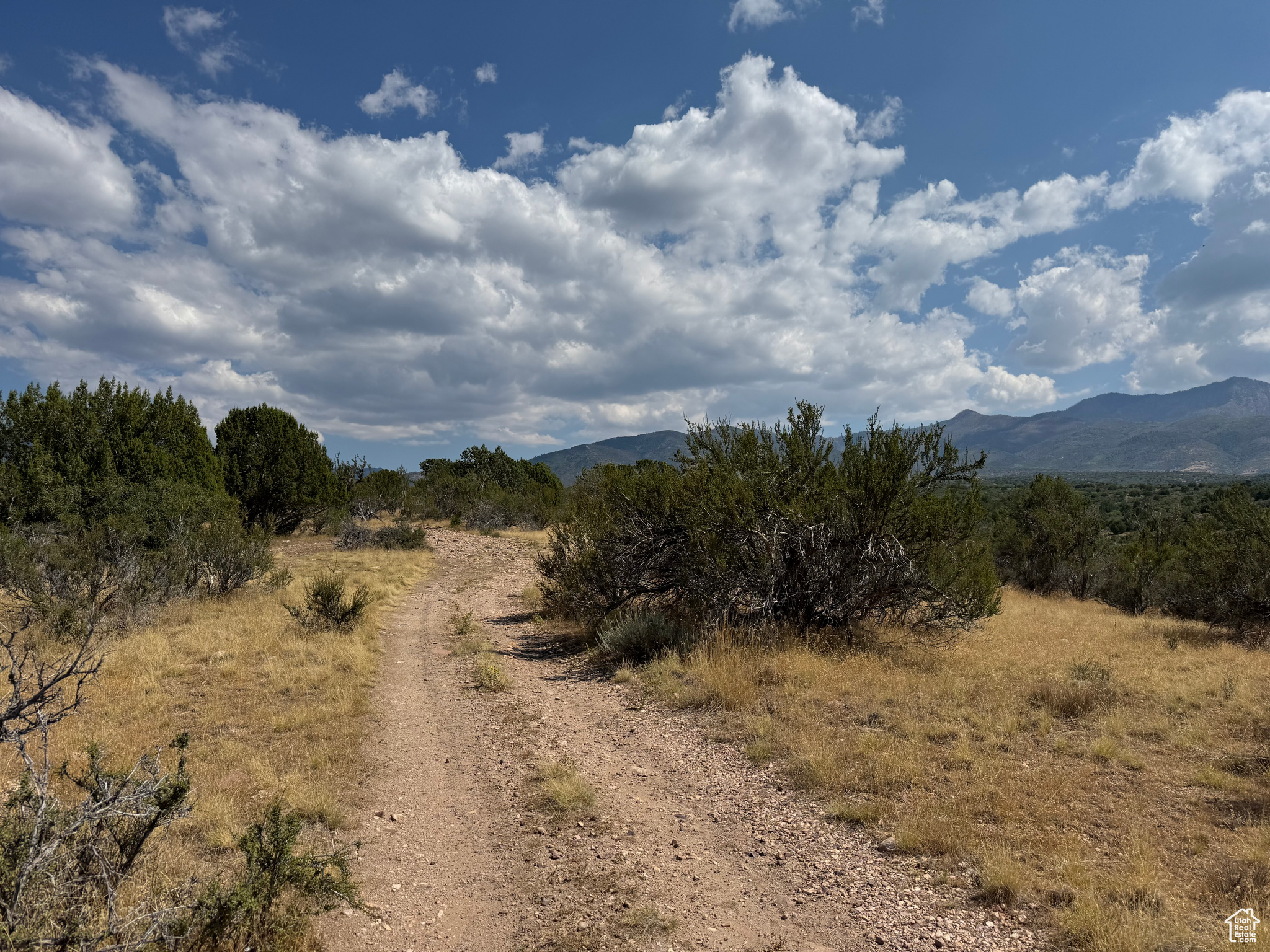 SE1/4 SEC 28, T21S, R4W - Land