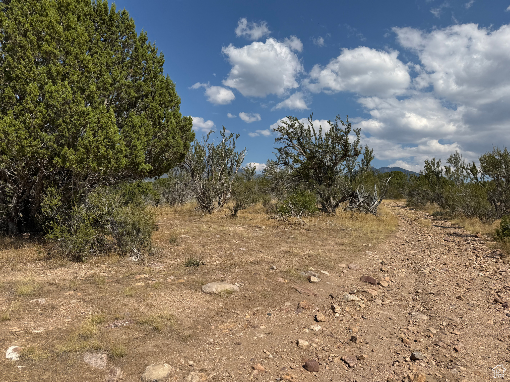 SE1/4 SEC 28, T21S, R4W - Land