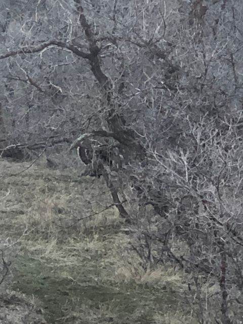 Tiny photo for 131 S MEADOW DR E #20, Springville, UT 84663 (MLS # 2137893)