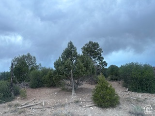 11 N Sage Dr, Monticello, Utah image 34