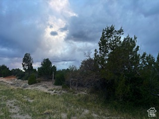 11 N Sage Dr, Monticello, Utah image 37