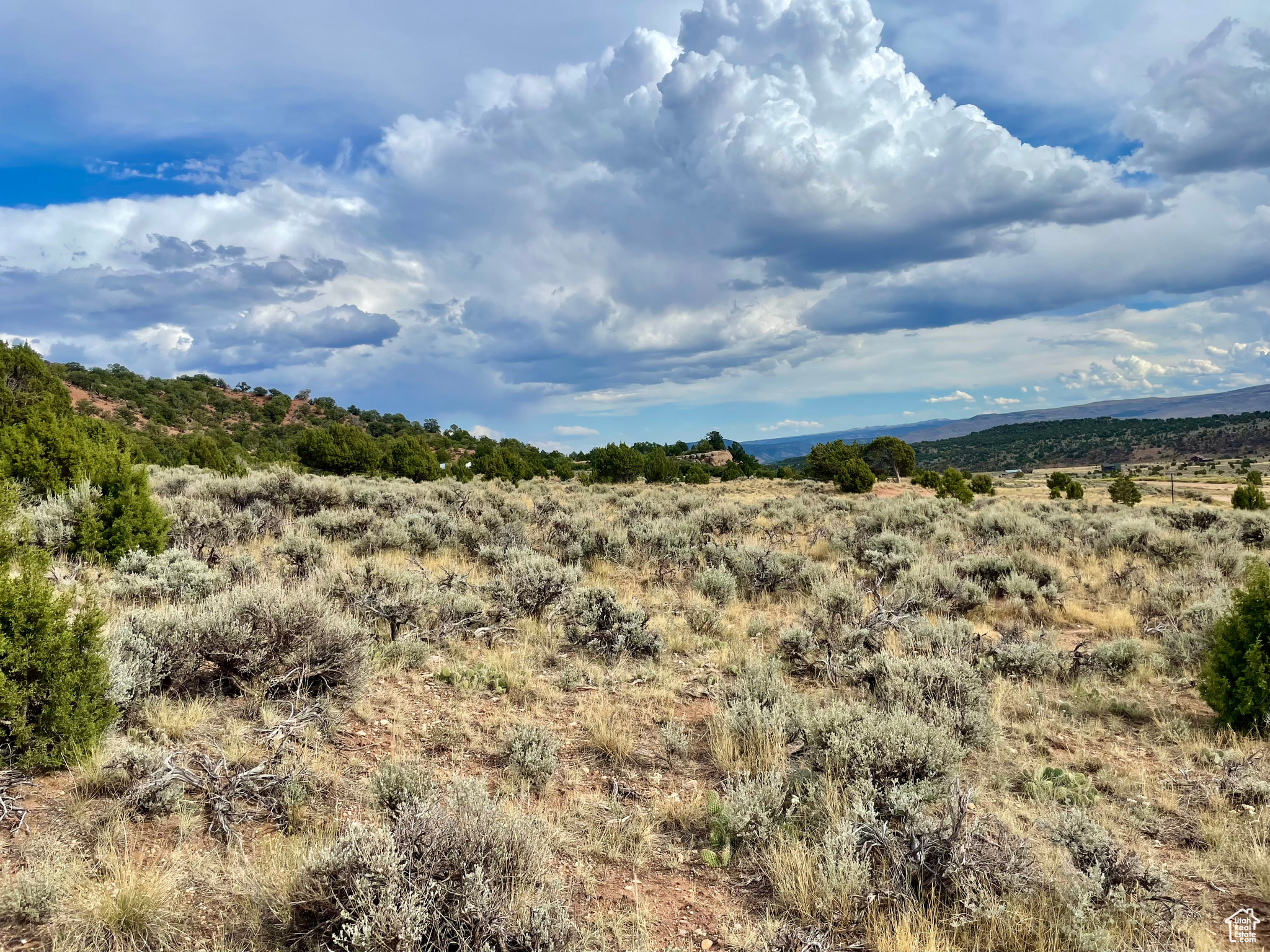 BANDANNA RANCH - Land