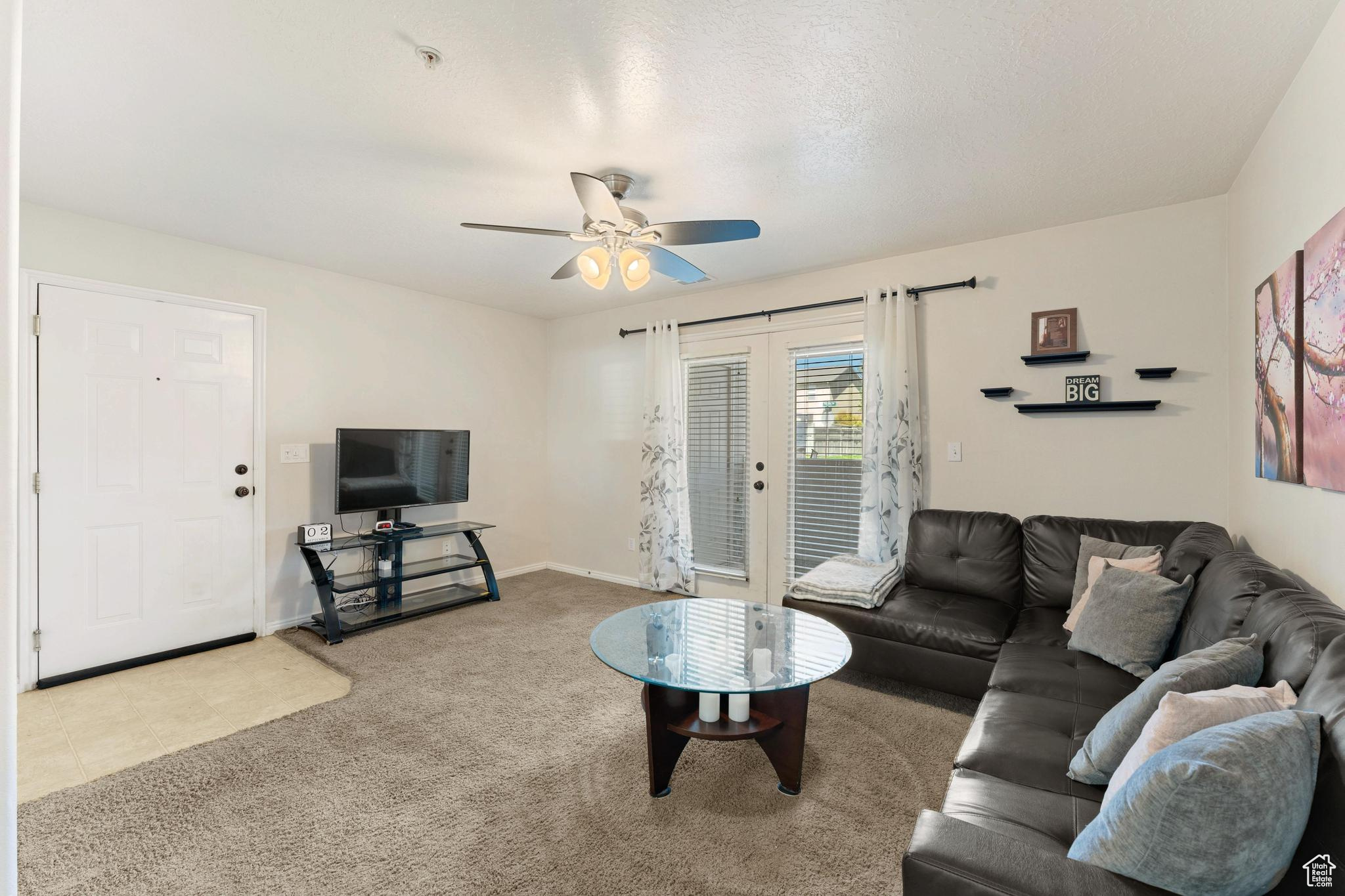 WILLOW SPRINGS - Residential