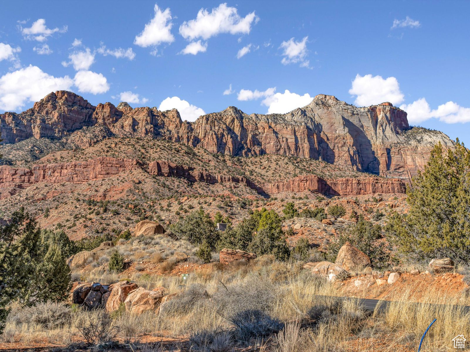 Claret Cup Ln #162, Springdale, Utah image 16